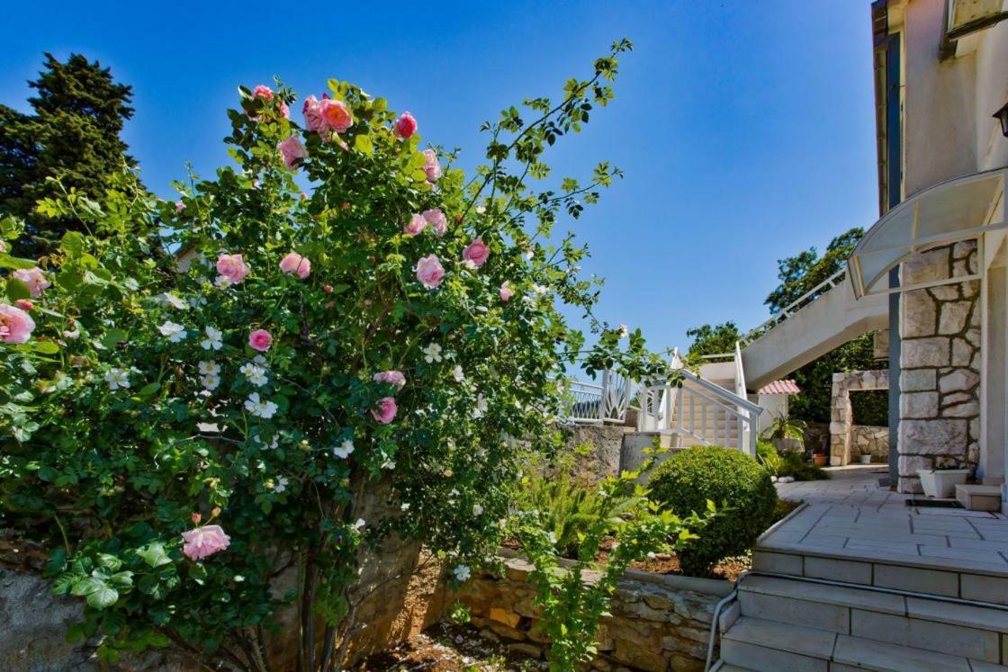 Apartments Jacky Đảo Hvar Ngoại thất bức ảnh